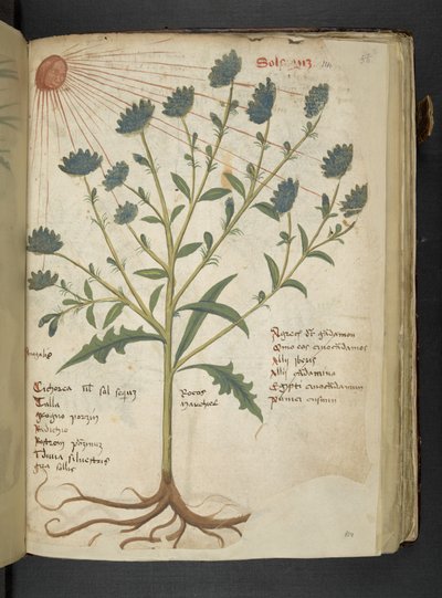 Adicionar MS 41623 f.114r 