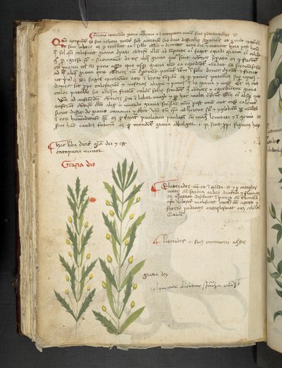 Adicionar MS 41623 f.39v 