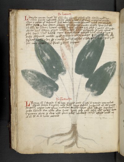 Adicione MS 41623 f.80v 
