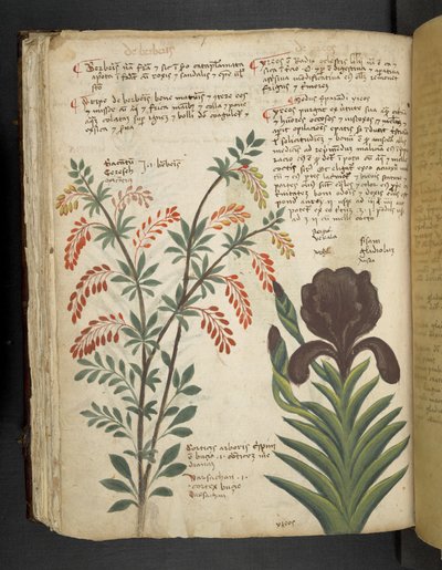 Adicionar MS 41623 f.89v 