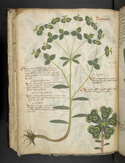 Adicionar MS 41623 f.94v 