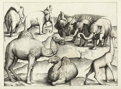 Pinturas de animais da Roma Antiga, Tabela, 3., pub. Antonio Lafrere 1528 de Italian School