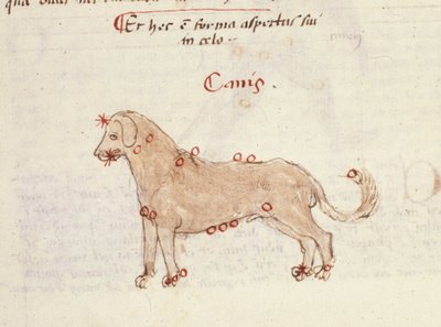 Constelação do cão (Canis). Miniatura de “” Astronomica” de Biasino da Parma (Blaise de Parma) (1425-1457) de Italian School