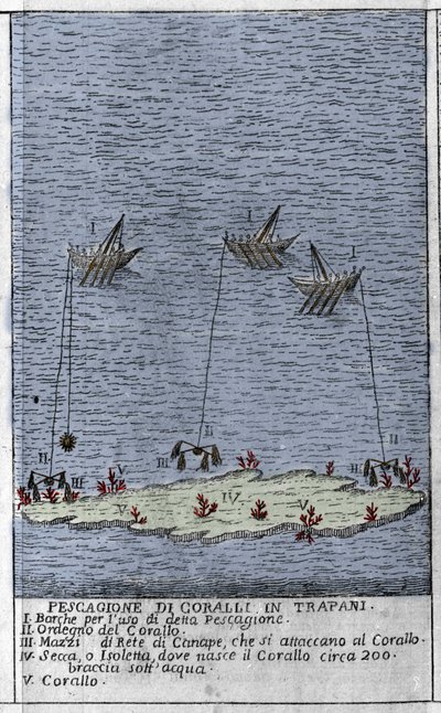 Pesca de coral no Golfo de Trapani, na Sicília, uma representação das pequenas ilhas submarinas onde se formam os barris de coral. Gravura de "Stato Presente della Sicilia" de Arcangelo Leanti, Palermo 1761 de Italian School