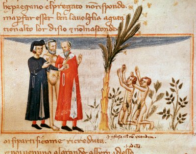Dante e Virgil conhecem Forese de Donati com os gulosos (canção 23 do Purgatório, na Divina Comédia) - Minature de Italian School