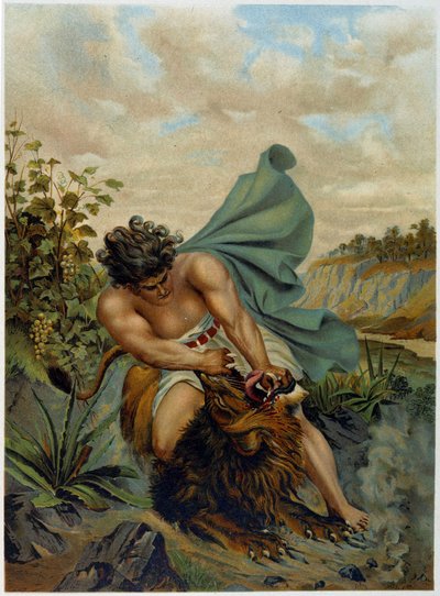 David lutando contra um leão em "Aurea Bibbia classica: storia della rivelazione divina nell