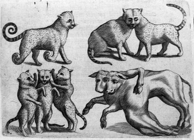 Diferentes tipos de monstros: gatos e vacas com corpos múltiplos. Gravura de "De monstrorum natura, causis et differentiis" de Fortunio Liceti (1577-1656), cientista italiano. 1646 de Italian School