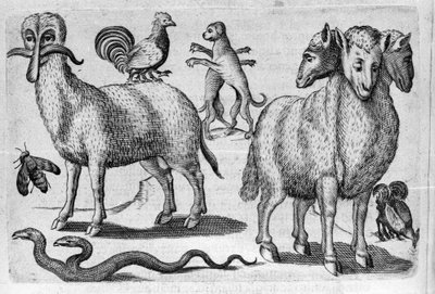 Diferentes tipos de animais monstruosos, com corpos múltiplos ou uma quantidade anormal de membros. Gravura de "De monstrorum natura, causis et differentiis" de Fortunio Liceti (1577-1656), cientista italiano. 1646 de Italian School