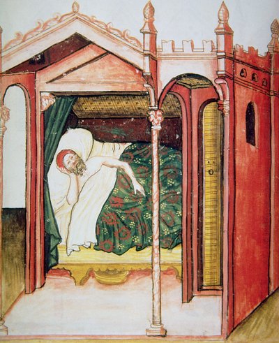 Fol.101r O Insomniac, ilustração de Tacuinum Santiatis Codex Vindobonensis de Italian School