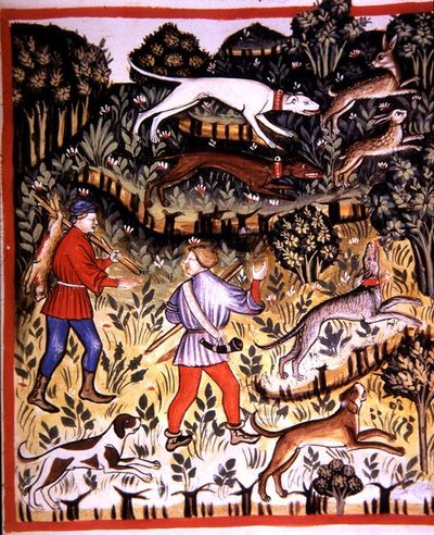 Fol.72r Lebre de caça, ilustração de 