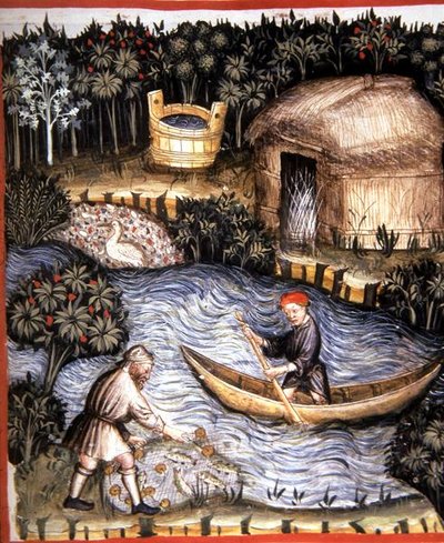 Fol.82r Peixe fresco, ilustração de 