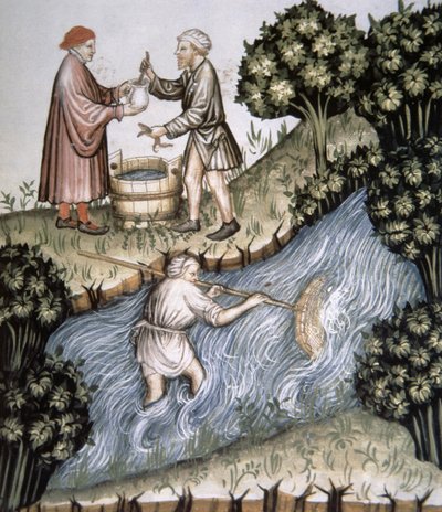 Fol.84r Pesca, ilustração de Tacuinum Santiatis Codex Vindobonensis de Italian School