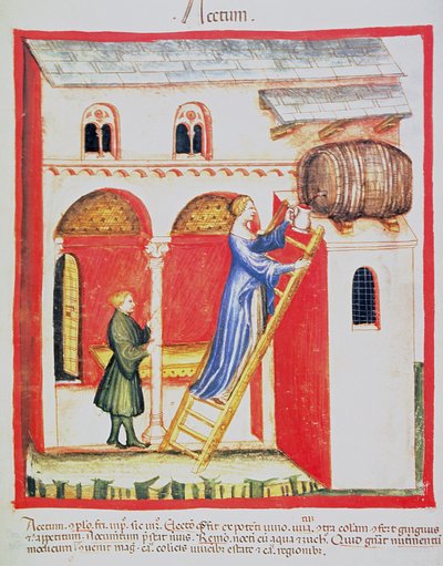 Vinagre Fol.85v, ilustração de Tacuinum Santiatis Codex Vindobonensis de Italian School