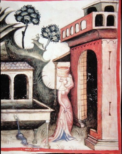 Fol.88v Água de nascente, ilustração de 