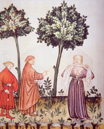 Fol.98v Cólera, ilustração de Tacuinum Santiatis Codex Vindobonensis de Italian School