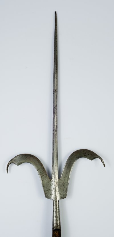 Friuli Spear, c.1600 (aço e madeira) de Italian School