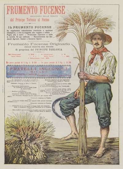 Trigo Fucense de Italian School