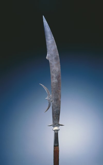Glaive com as armas da família Giustini, Veneza, c.1600-20 (aço e madeira) de Italian School