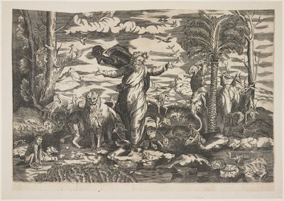 Deus Criando os Animais, c.1550 de Italian School