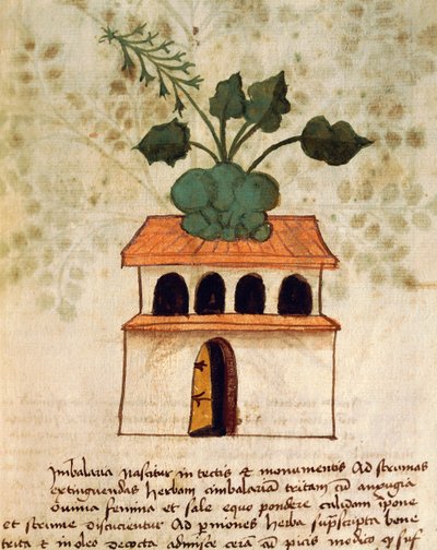 Jardim suspenso de Italian School