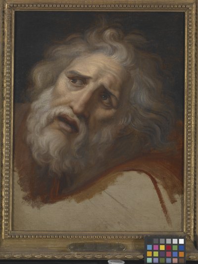 Cabeça de Laocoon (óleo sobre tela) de Italian School