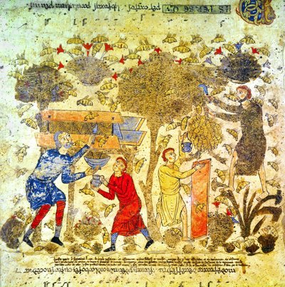 A colheita do mel em Itália no século XII de Italian School