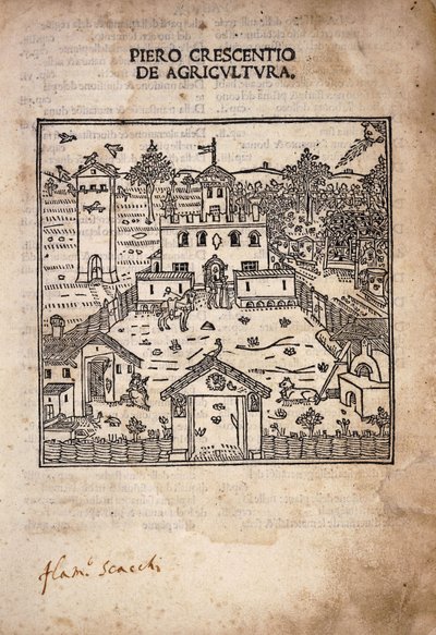 Página de título ilustrada de 