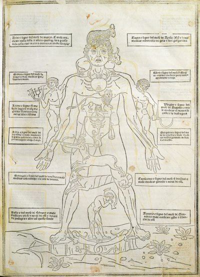 Ilustração de 