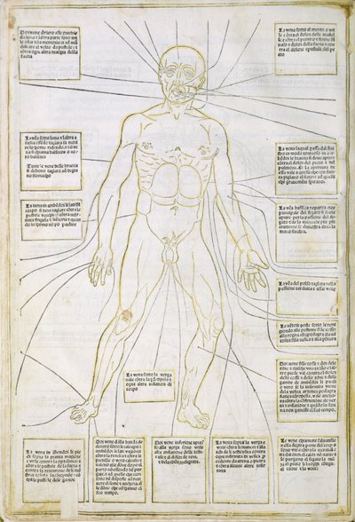 Ilustração de 