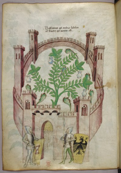 Ilustração do jardim de bálsamo do Cairo (Fustat), com sete tanques de água e jarras para apanhar o bálsamo, uma planta no centro, com dois cavaleiros de armadura a ladear o portão, com escudos com armas heráldicas, c.1440 (tinta e cor sobre velino) de Italian School
