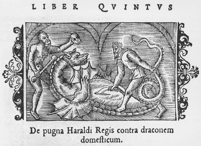 Rei Harald luta um dragão, de uma história dos povos do norte por Olaus Magnus (1490-1558), publicado em Roma, 1555 de Italian School