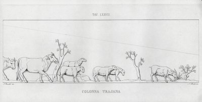 La Colonna Trajana, Trajan