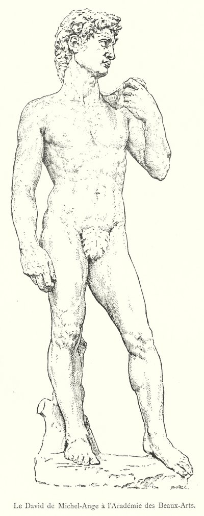 O David de Miguel Ângelo na Academia de Belas Artes (gravura) de Italian School