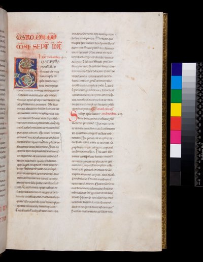 Sra. 143. Gregório o Grande, Registrum Epistolarum, f.8r. Decorado inicial [S] com infill e final de folha de vinho branco de Italian School