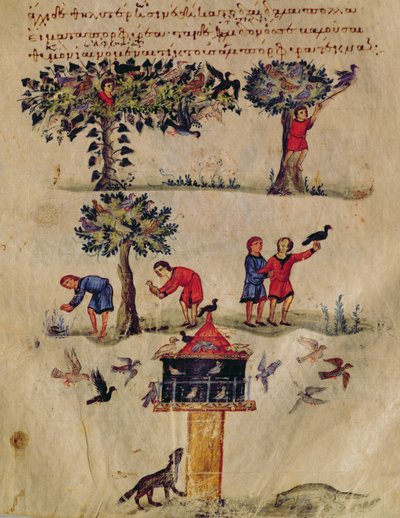 Ms Grec 479 Caça para Aves, ilustração provavelmente do Ixeutika por Oppian (tempera em pergaminho) de Italian School