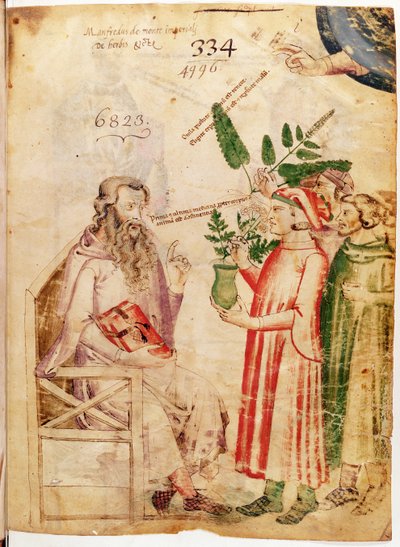 Ms Lat 6823 fol.1 Homens apresentando plantas a um homem desconhecido, de De Herbis por Manfredus de Monte Imperiali de Italian School