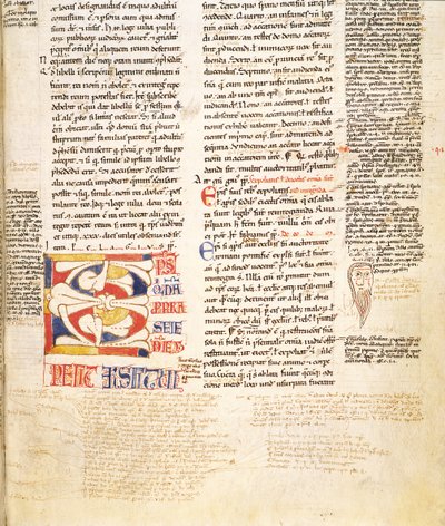 Ms. McClean 135, f.96r: detalhe de uma forma de planta inicializada C de Gratians Decretum, final do século XII de Italian School