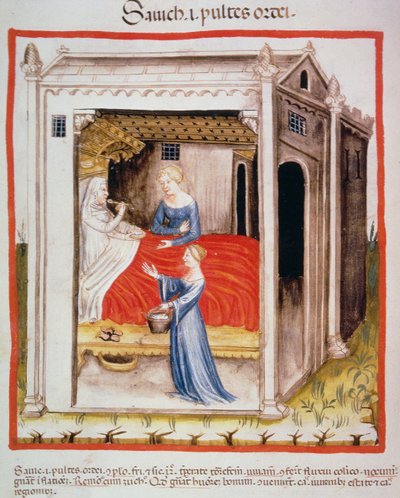 New provando a sopa de cevada 2644 fol.44v, de Tacuinum saudável de Italian School