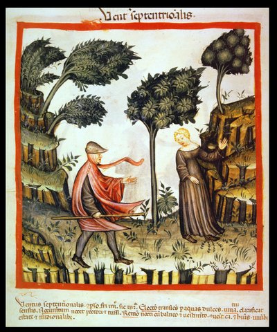Nova 2644 Fol.58v O North Wind, de Tacuinum saudável de Italian School