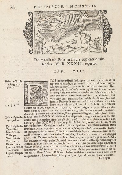 Histórico Na página 742 do gentive do Norte por Magnus Olaus, Roma 1565 (impressão e gravura) de Italian School