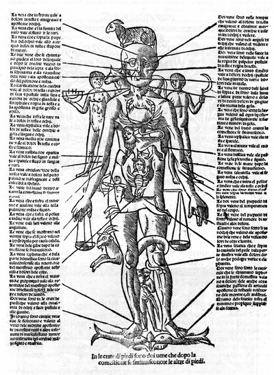 Placa representando um corpo humano com a posição de todos os órgãos e os sinais zodiacais correspondentes a eles pelas suas influências astrológicas. Plage drawn from "Recetoro di Galeno optio e probato a tutte le infirmita che accadeno a huomini e a donn de Italian School