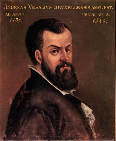 Retrato de André Vesale (Andreas Vesalius) (1514-1564), anatomista e doutor em pintura anônima de Carlos V da escola italiana. Século XVI Pádua, Universidade de Italian School