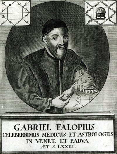 Retrato de Gabriel Fallopius (1523-62) de Italian School