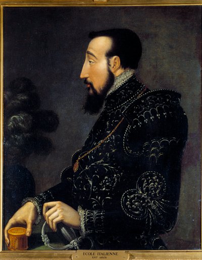 Retrato de Henrique II Rei da França (1519-1559) Pintura da Escola Italiana. Século XVI. Sol 0,58x0,46 m Chantilly, museu Conde de Italian School