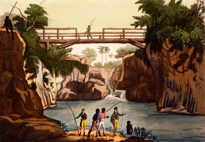 Rio Roccie perto de San Benedetto, Ilha de Madagascar, de trajes de ... por Giulio Ferrario, c.1820s-30s de Italian School