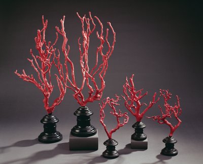 Conjunto de modelos de desenho em madeira imitando coral, da Universidade de Florença (madeira) de Italian School