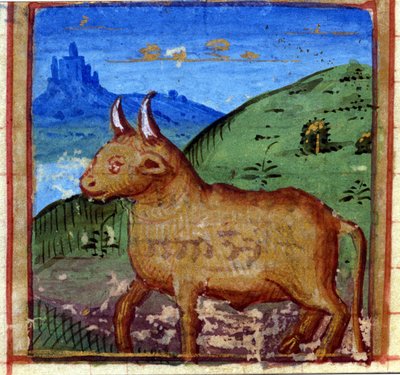 Sinal do touro. Horóscopo italiano, meados do século XV. de Italian School