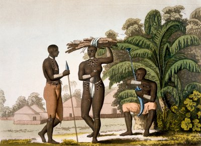 Costa Sudeste: nação cafeeira, década de 1820 a 30 de Italian School