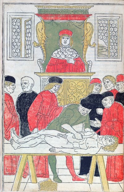 A Dissecção, ilustração de 
