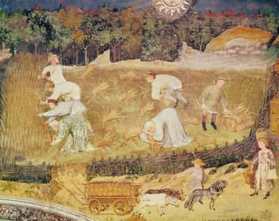 O Mês de Agosto, detalhe da colheita, c.1400 (fresco) de Italian School